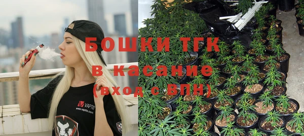 винт Вяземский