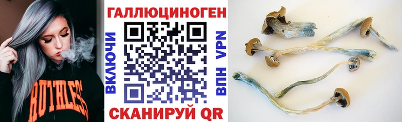 Псилоцибиновые грибы мицелий  Вилюйск 